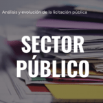 Informe 2020 sobre el secto publico